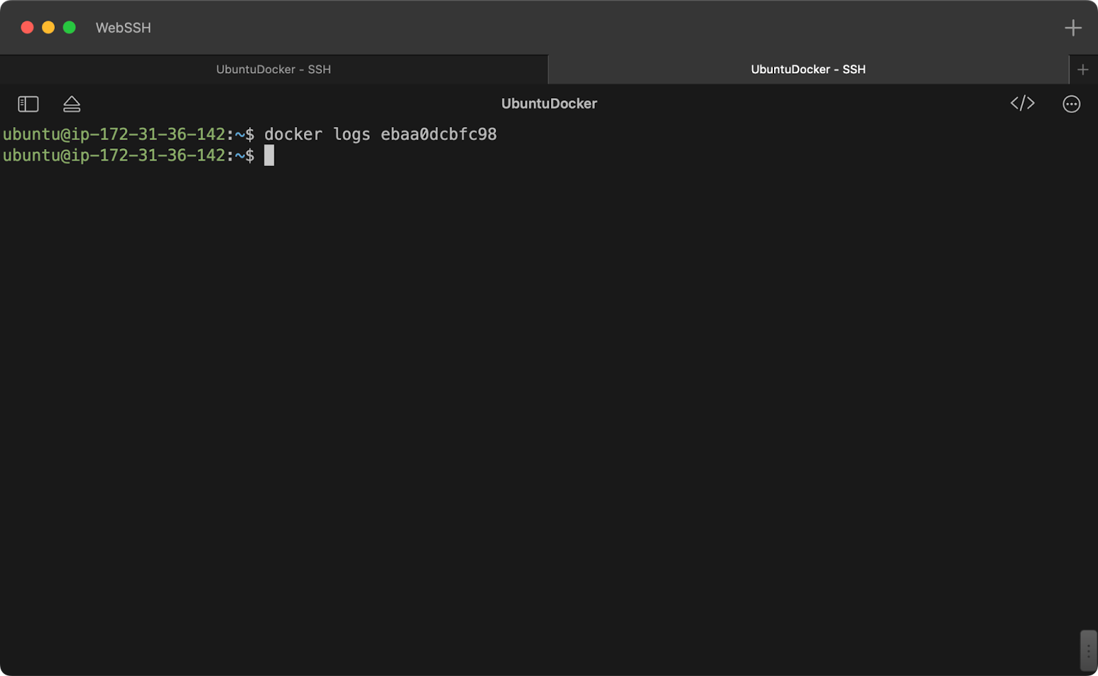 Terminal showing container logs