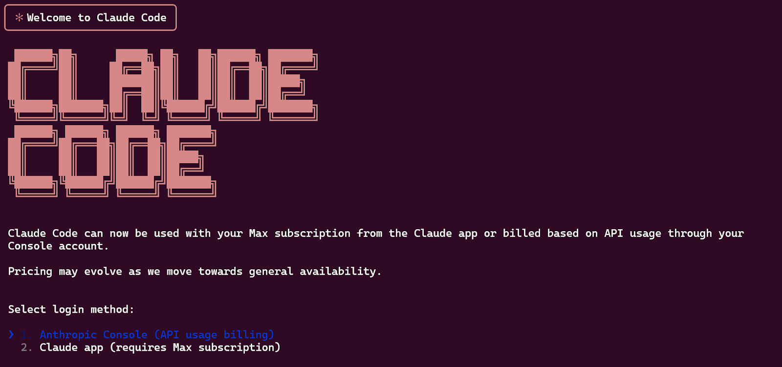 Claude Code welcome message in the Terminal