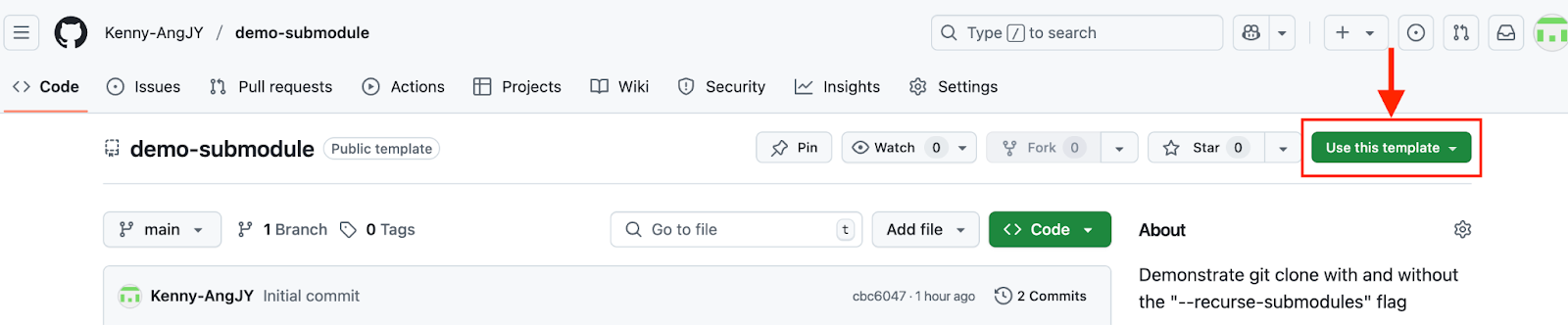 Use the repository as a template