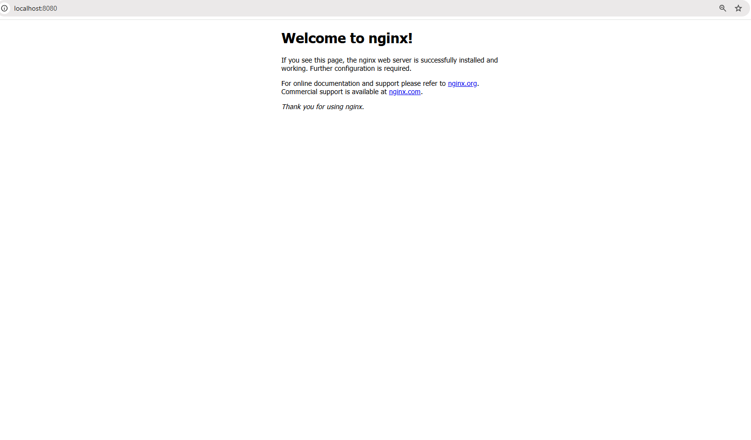 Accediendo al servidor web en localhost:8080