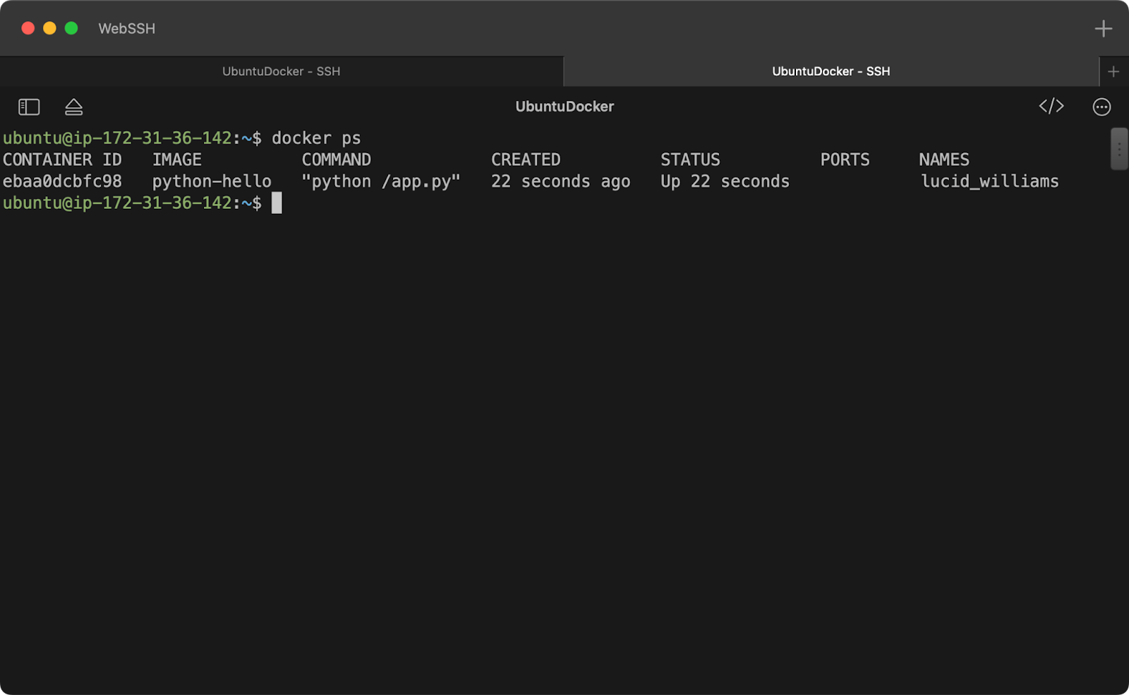 Running Docker containers