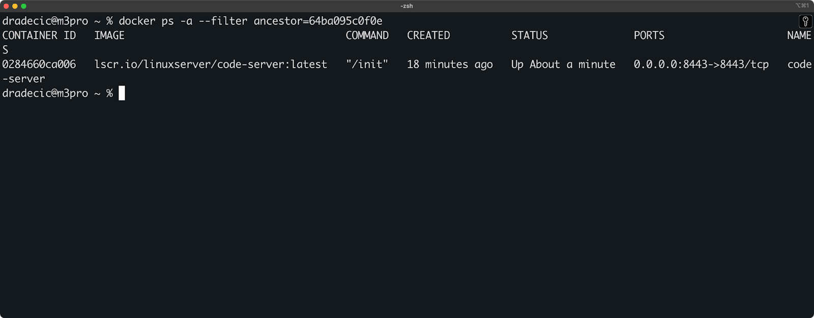 Image 10 - All containers using the image