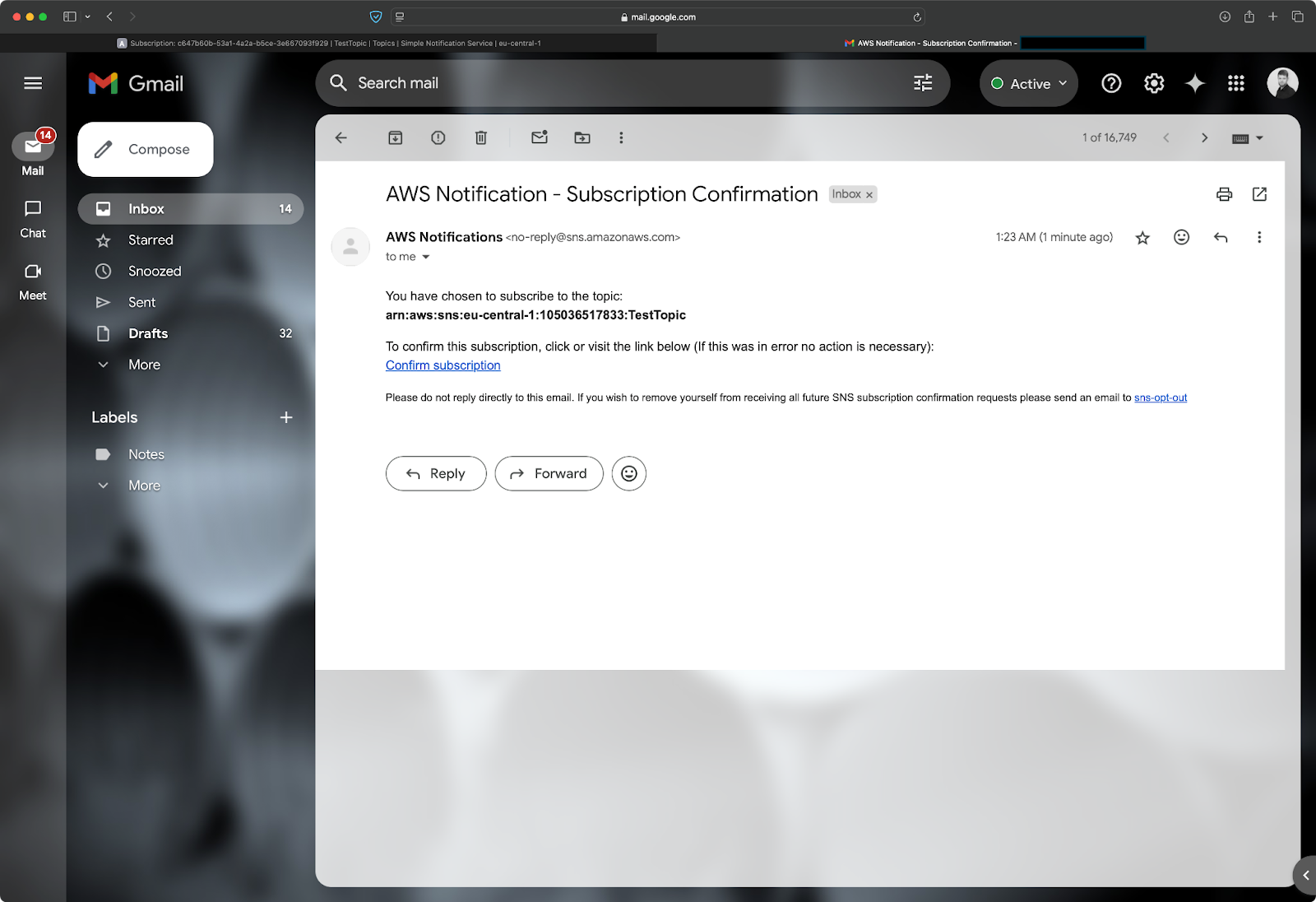 Image 7 - SNS confirmation email