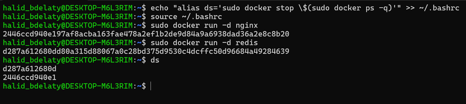 Das Terminal zeigt die erfolgreiche Verwendung eines benutzerdefinierten "ds"-Alias, um alle laufenden Docker-Container in Ubuntu WSL zu stoppen.