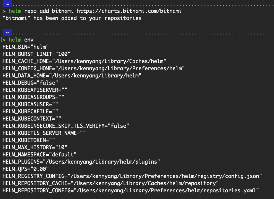 Saída do helm repo add e helm env
