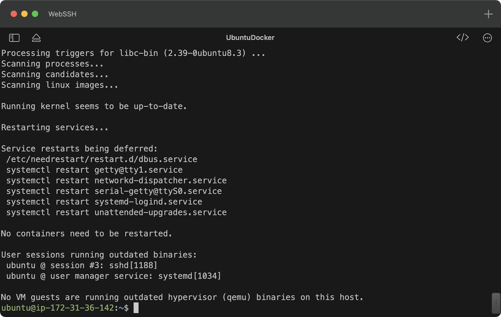 Docker installation results