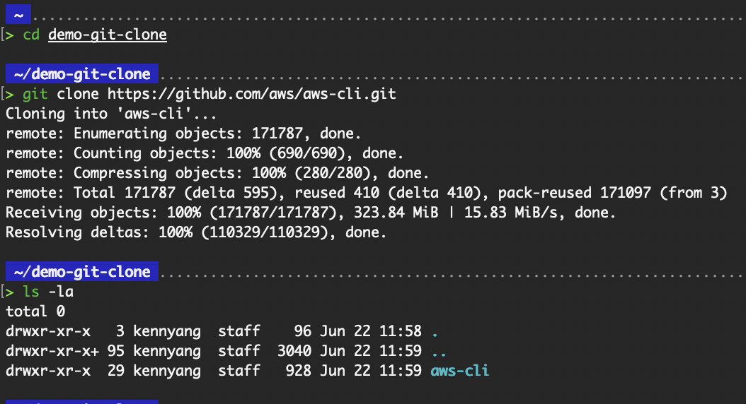 Output of the basic usage of git clone