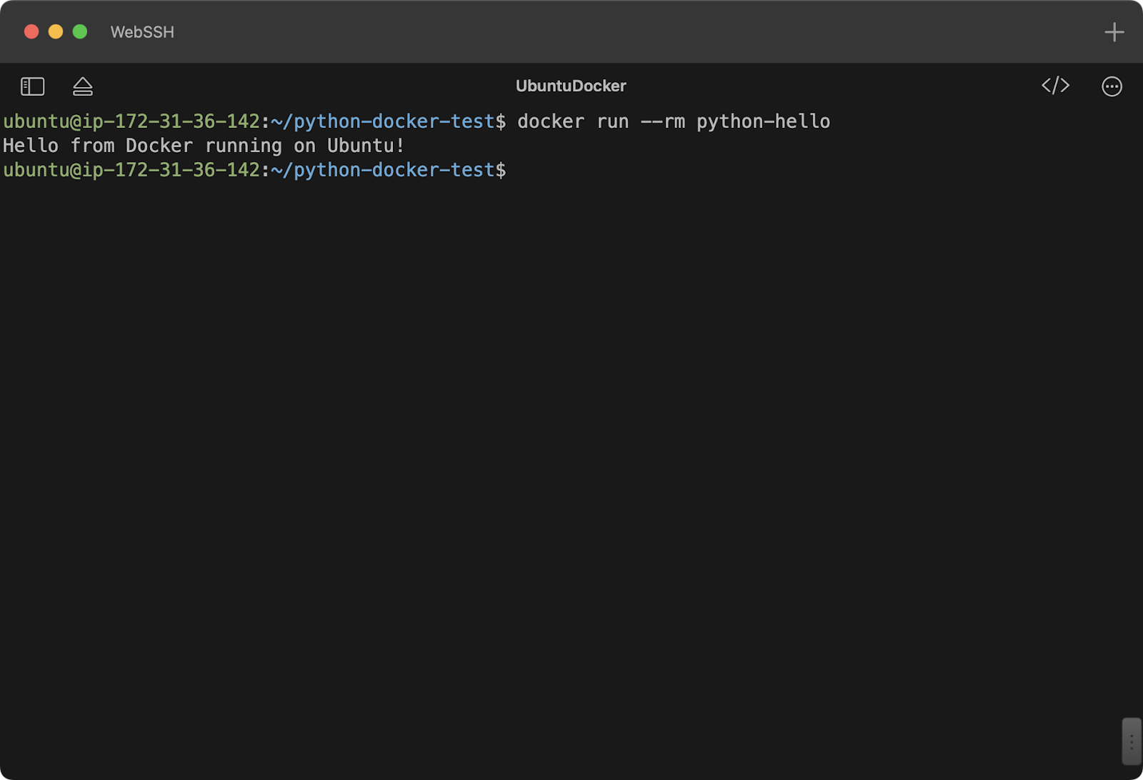 Running a Python script in Docker