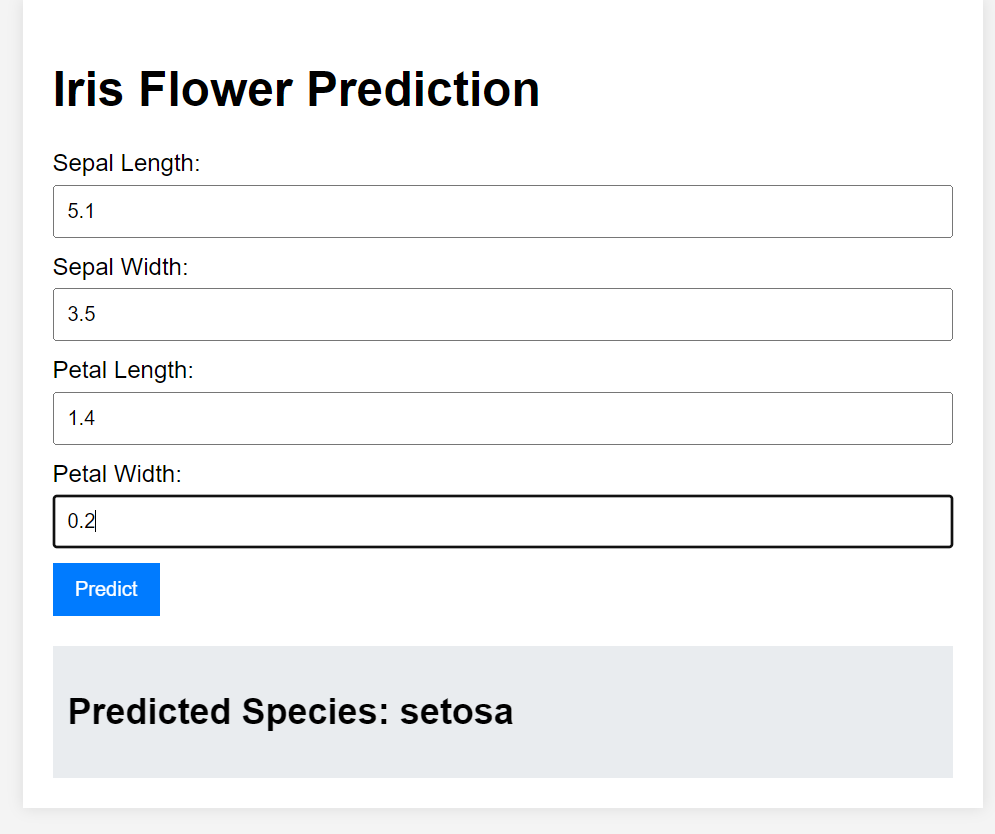 Testing the machine learning inference with random values.