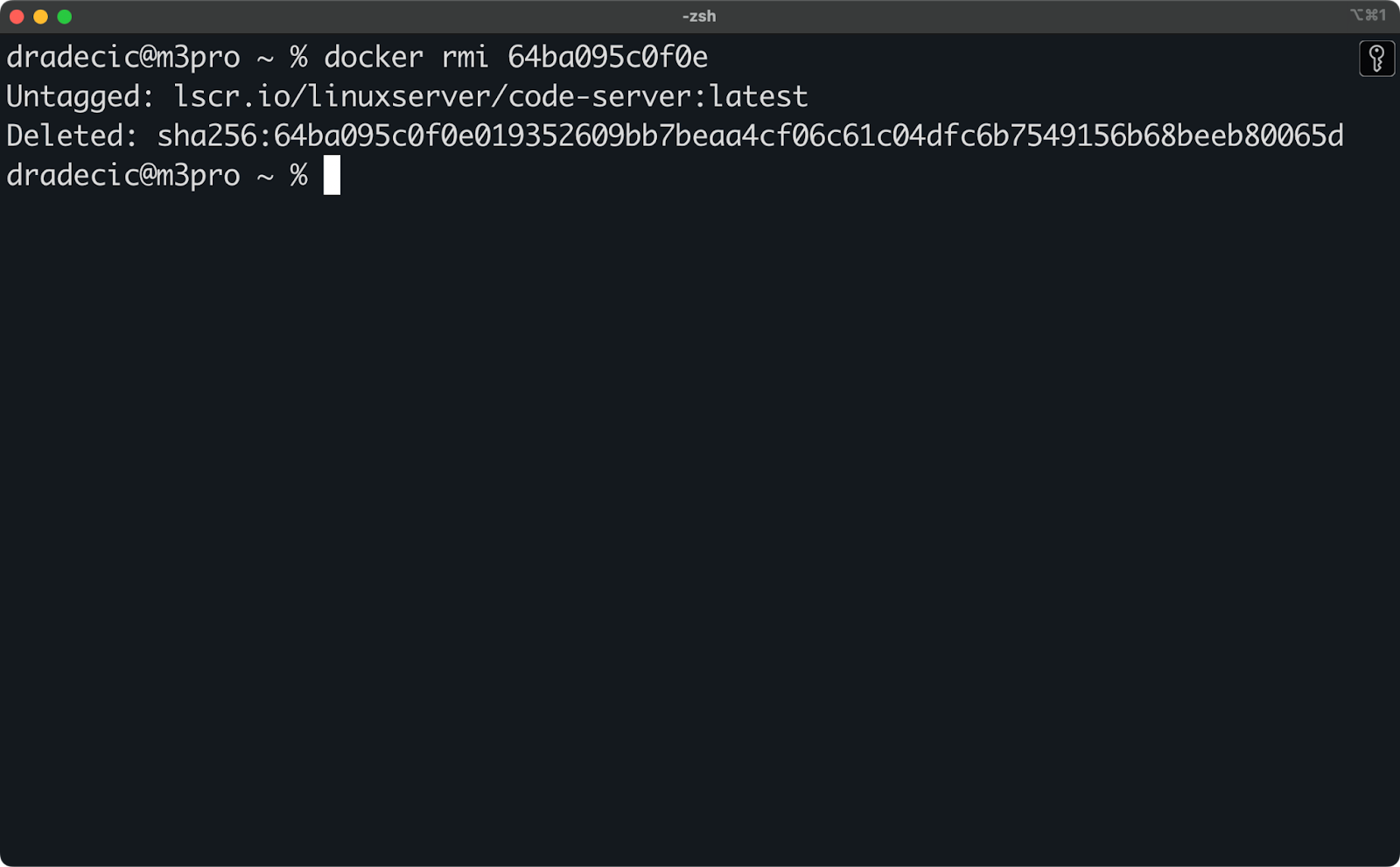 Image 13 - Removing the Docker image