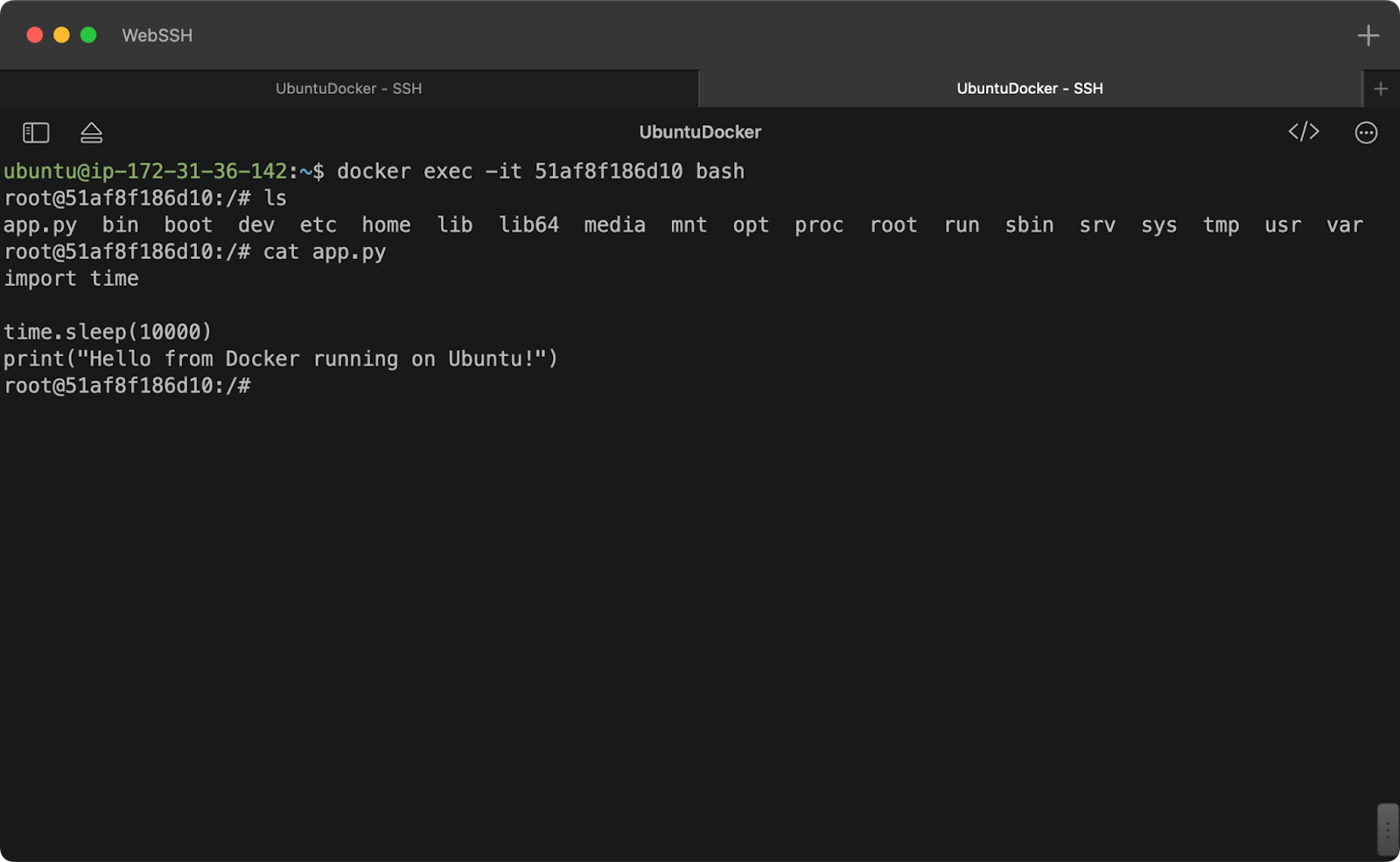 Terminal showing container logs