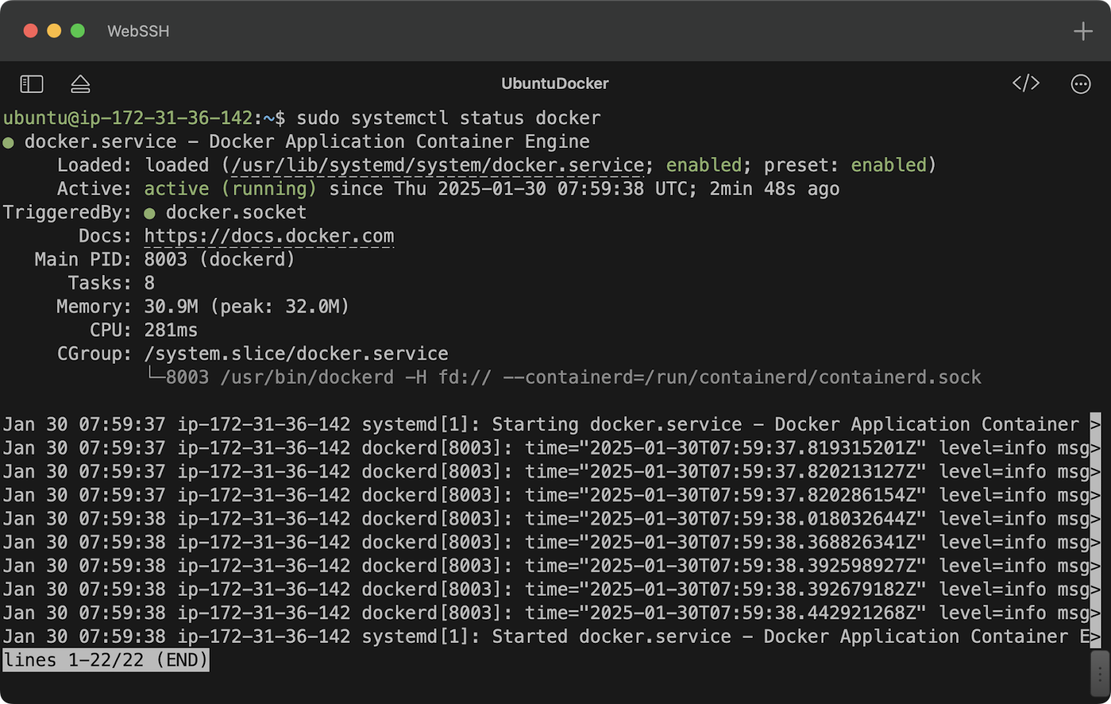 Docker service status
