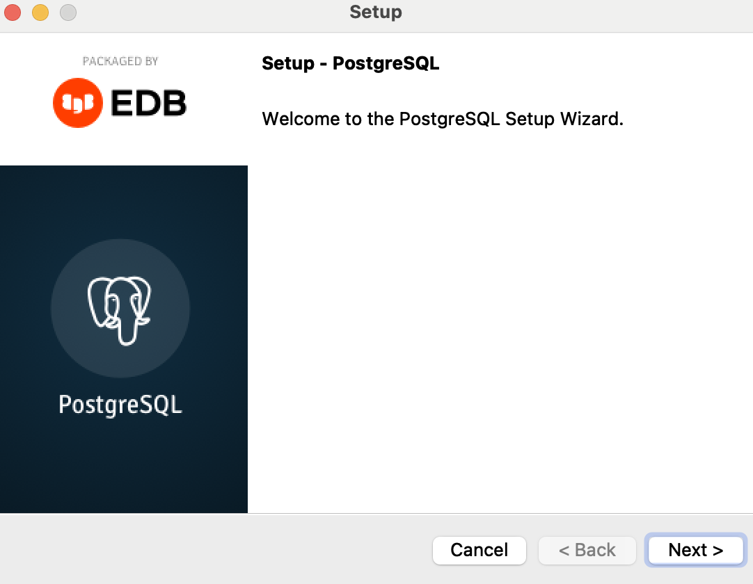 PostgreSQL Setup Wizard popup window