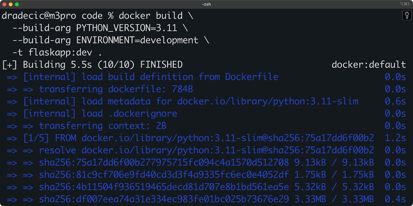 Image 2 - Build args in a basic Python application