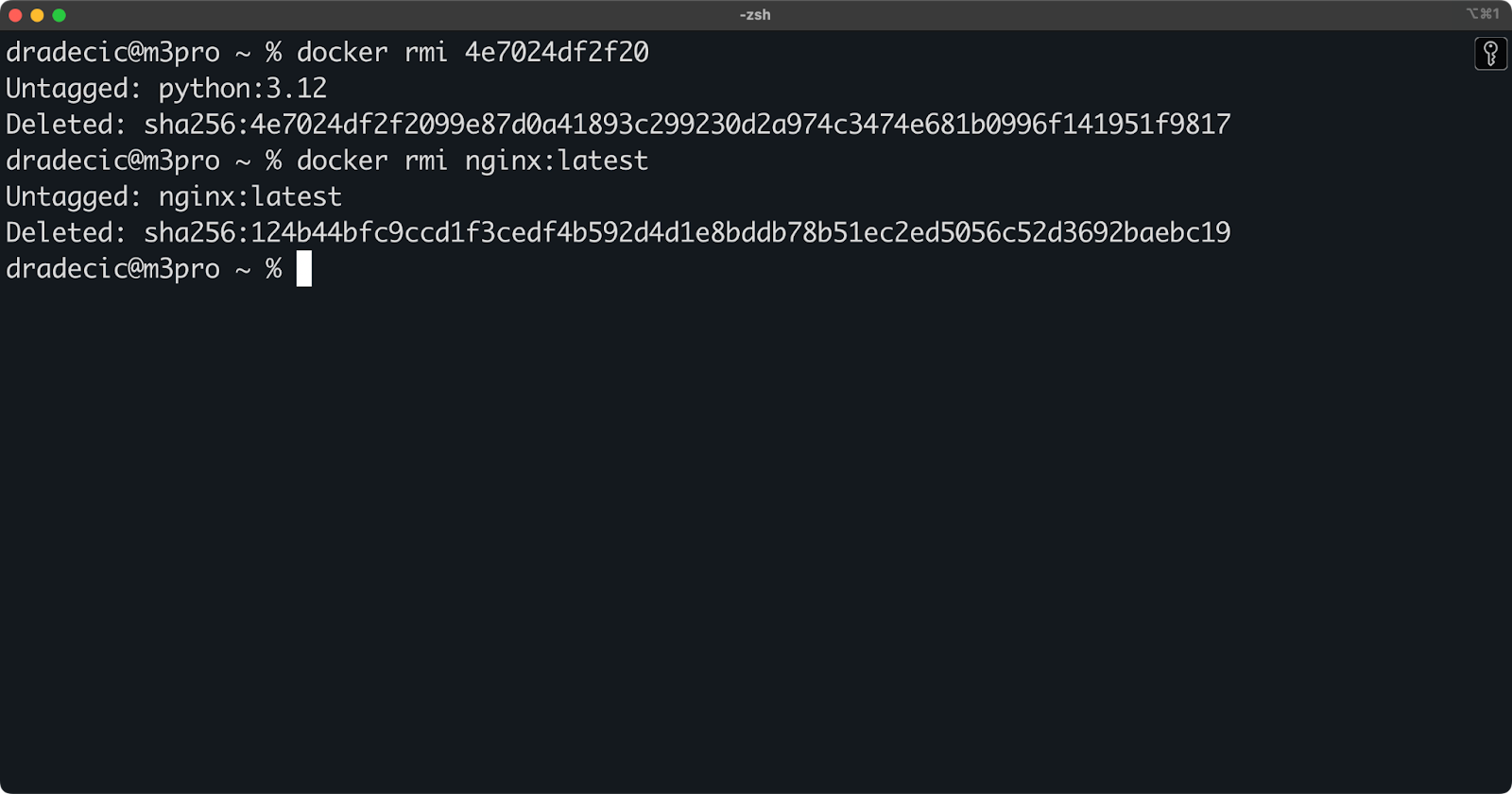 Image 3 - Two ways to remove individual Docker images
