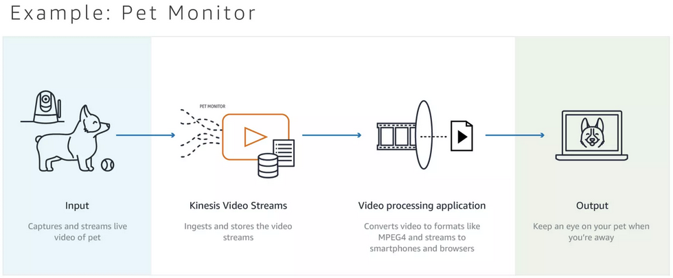 Ejemplo de uso de Amazon Kinesis Video Streams: Monitor de mascotas