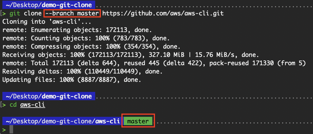 Cloning a specific branch