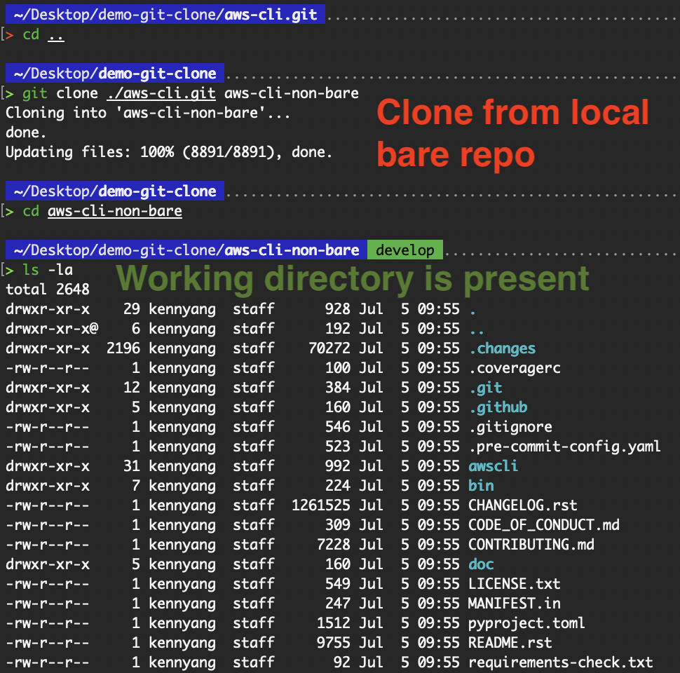 Clone from my local bare repository