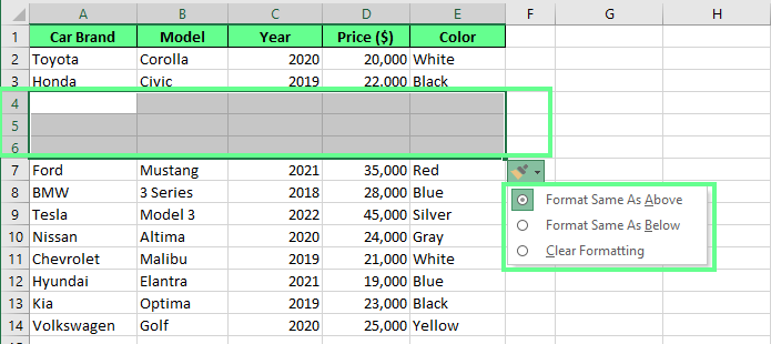 Neue Zeilen werden mit der Einfügeoption in Excel hinzugefügt.