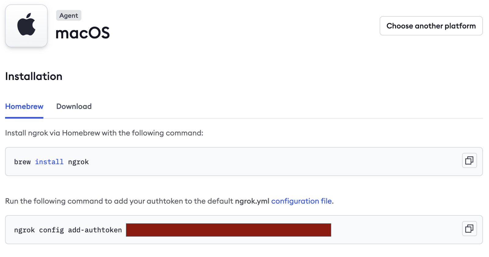 NGrok Token