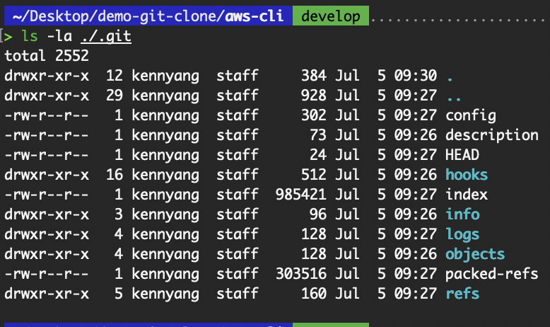 Contents of .git folder