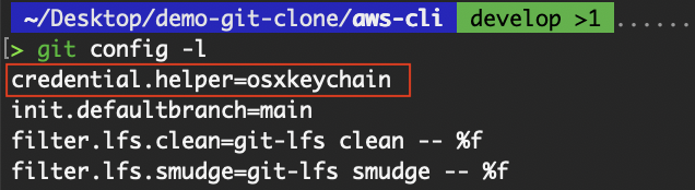 View git configuration for credential.helper