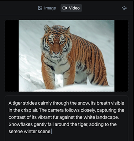 runway image and text as a prompt