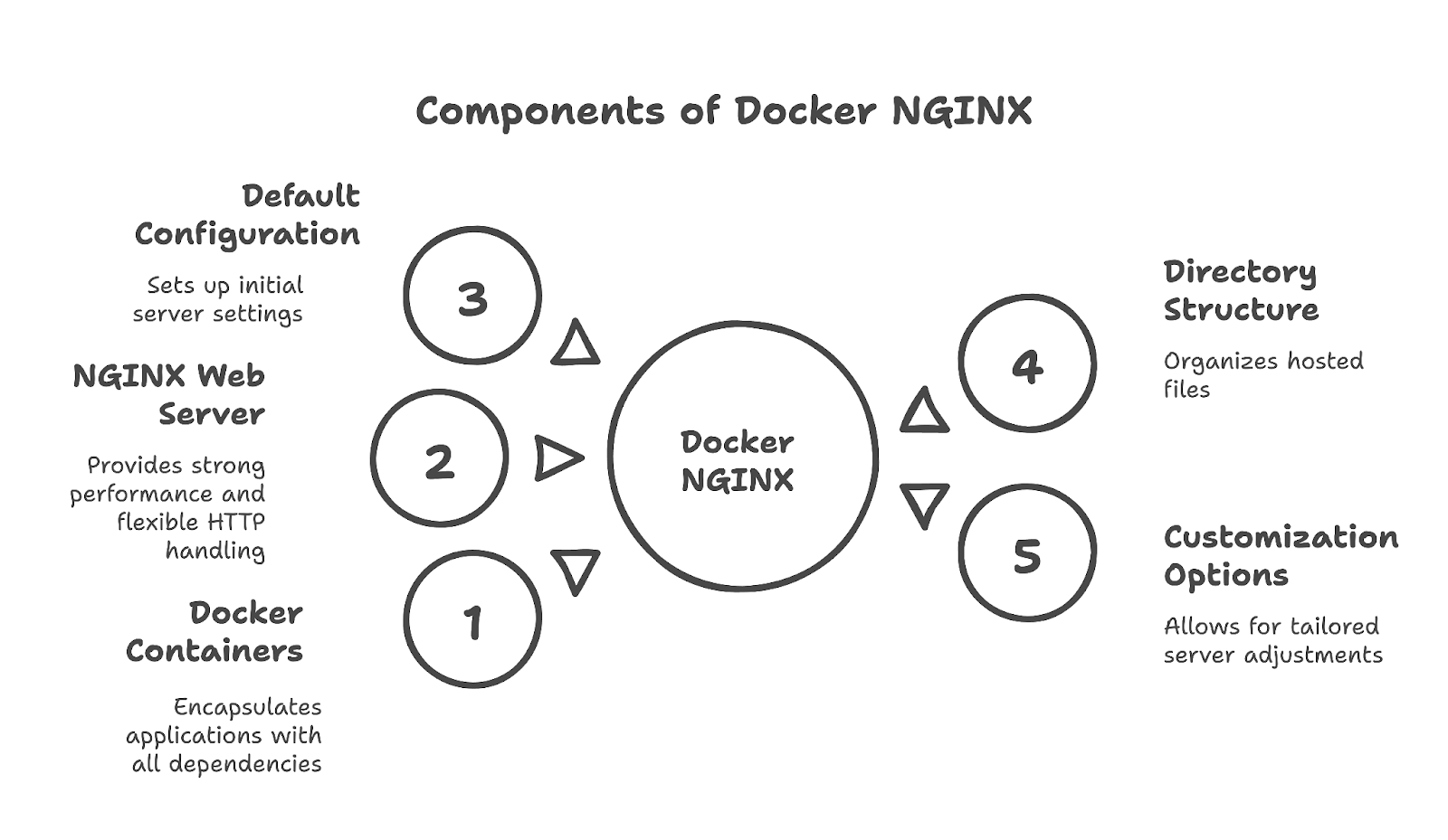 Komponenten von Docker NGINX