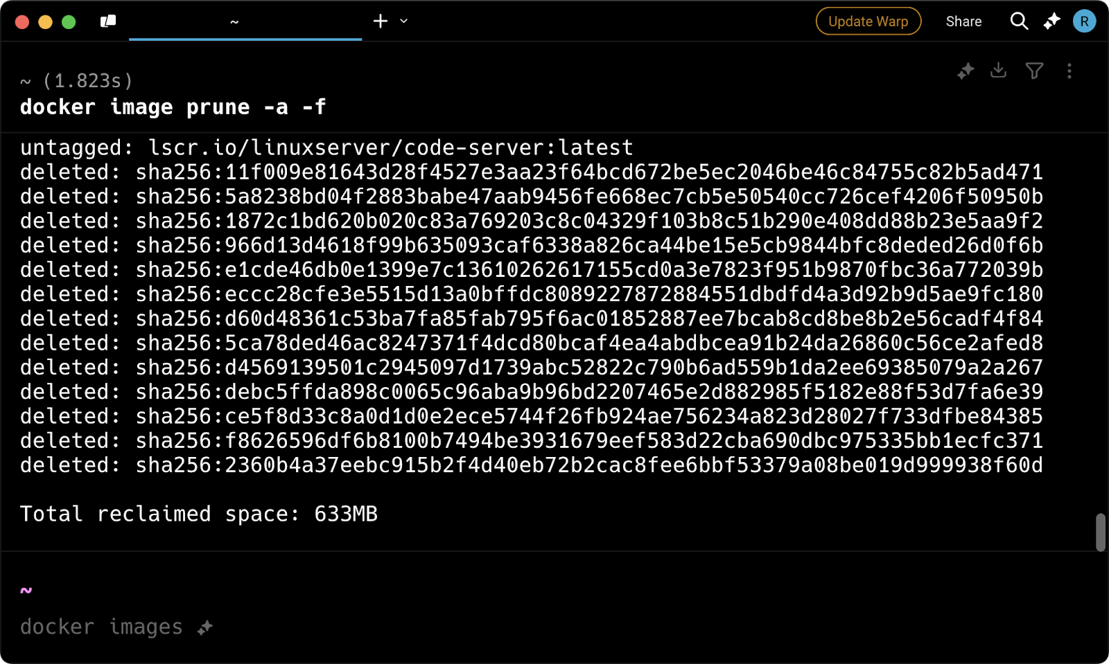 Image pruning output message
