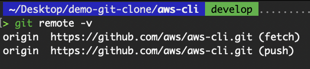 View the remote repository