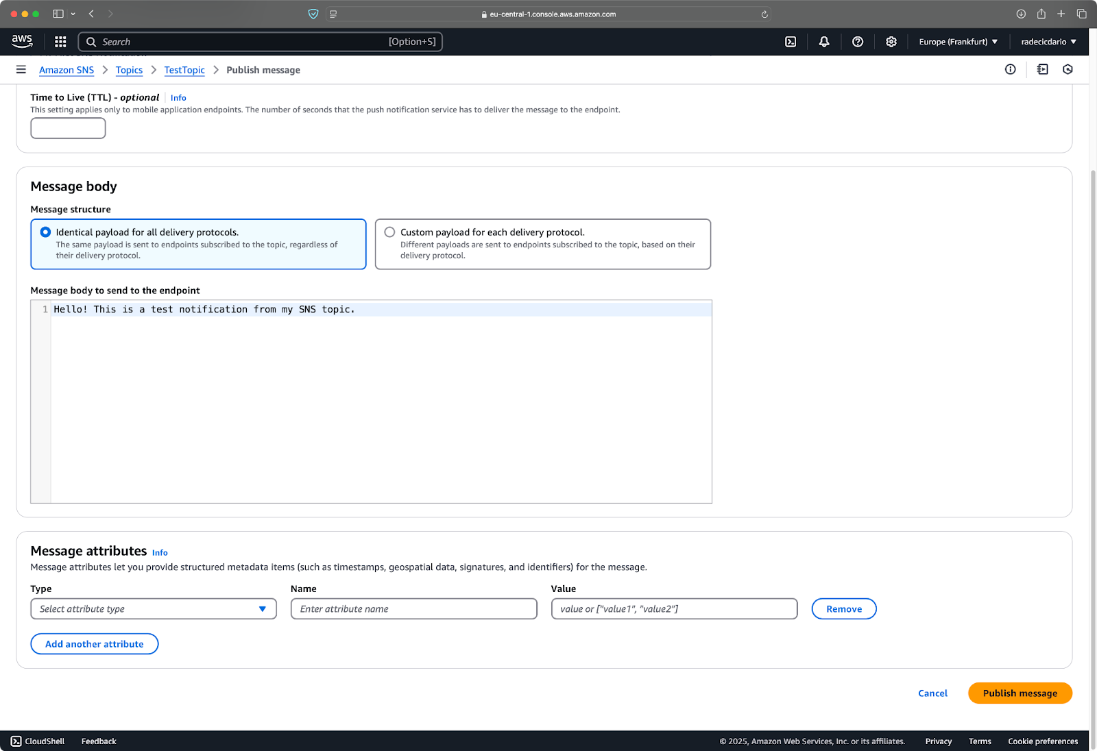 Image 11 - Publishing a message via the console