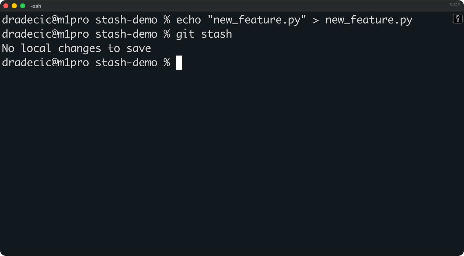 Image 3 - Trying to stash an untracked file
