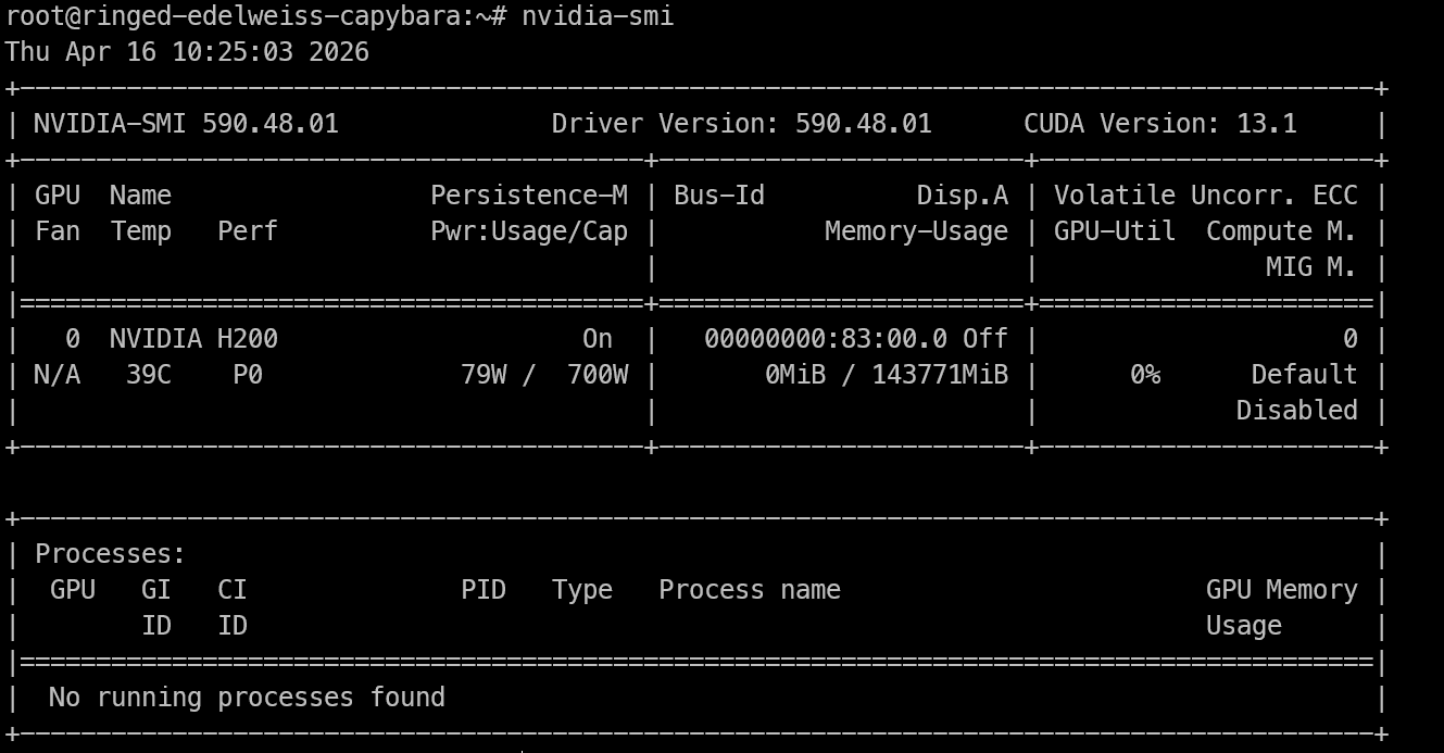H200 NVIDIA GPU, the driver version, CUDA version, and the available memory.