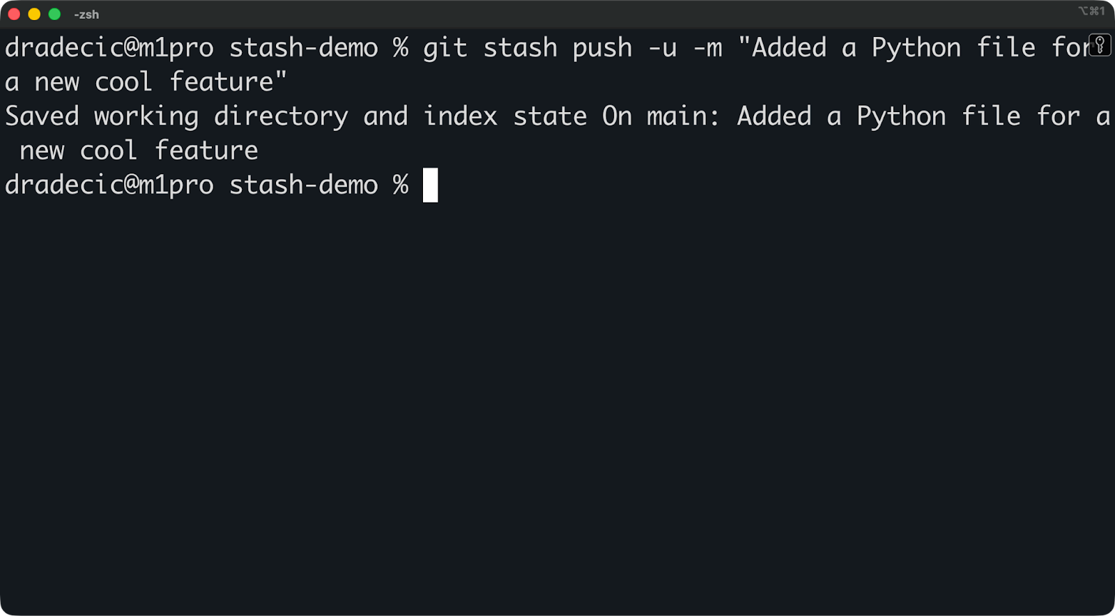 Image 4 - Stashing an untracked file