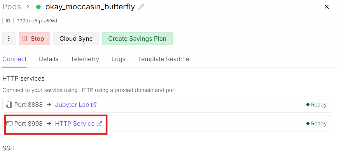 Accessing the PersonalPlex WebUI