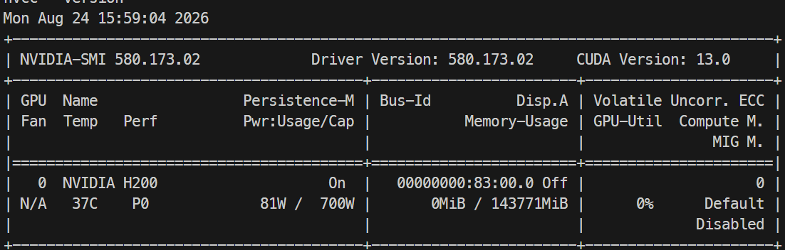 H200 GPU-overzicht