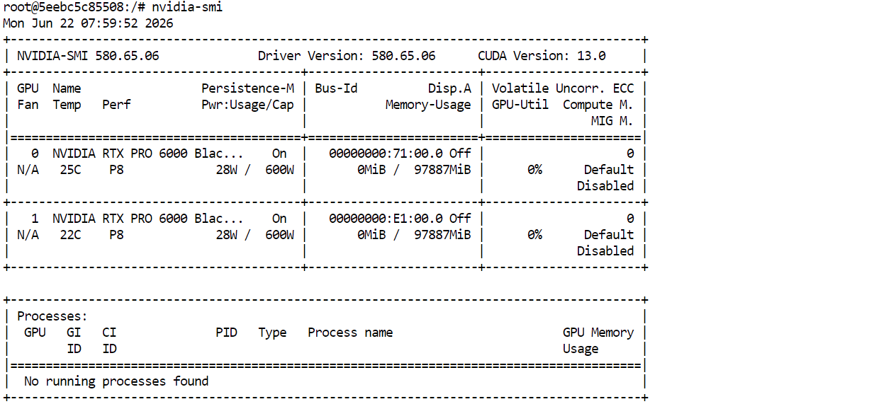 GPU stats within the runpod terminal
