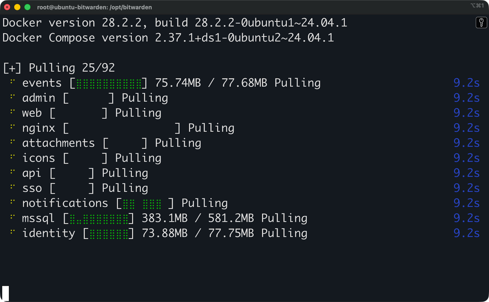 Bitwarden installation (4)