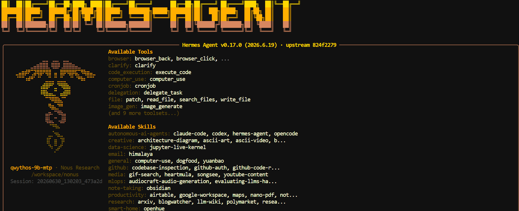 Running the Hermes-Agent