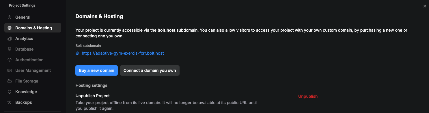 Configuring a custom domain on Bolt.new.