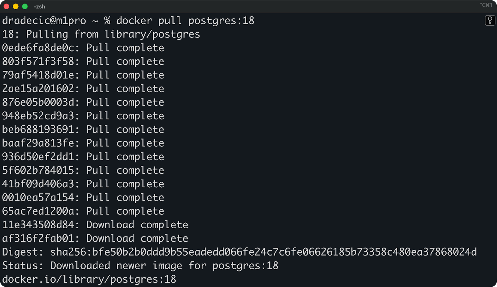 Image 5 - Pulling new images