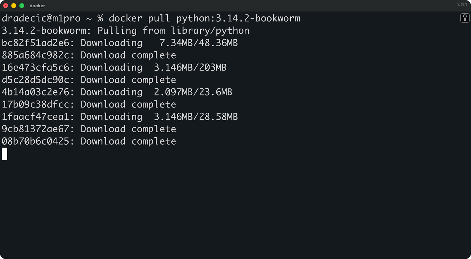 Image 1 - Running a docker pull command
