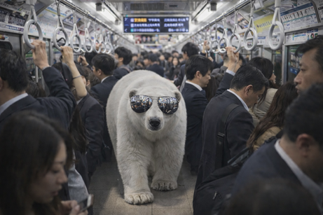 chatGPT Images : correction des ombres et des reflets