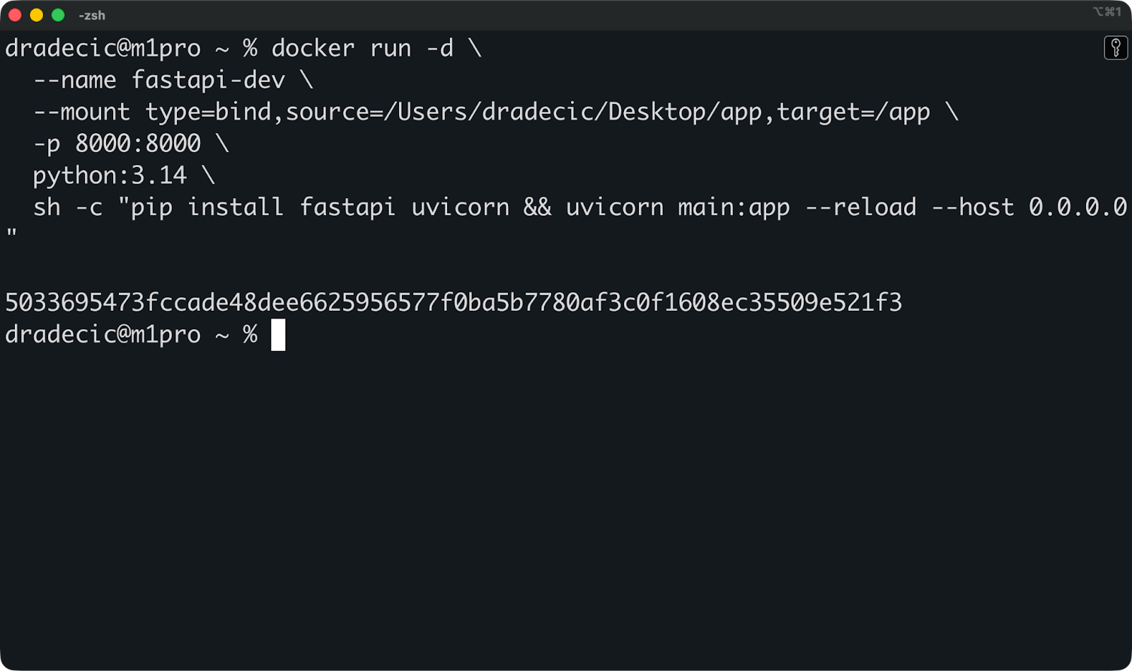 Image 8 - FastAPI application with bind mount
