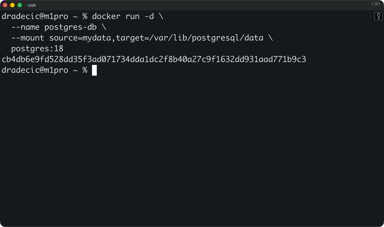 Image 2 - Mounting a volume to a Postgres database