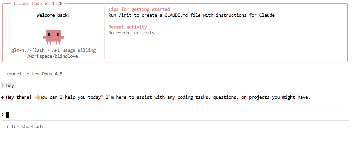 Interacting with the Claude Code