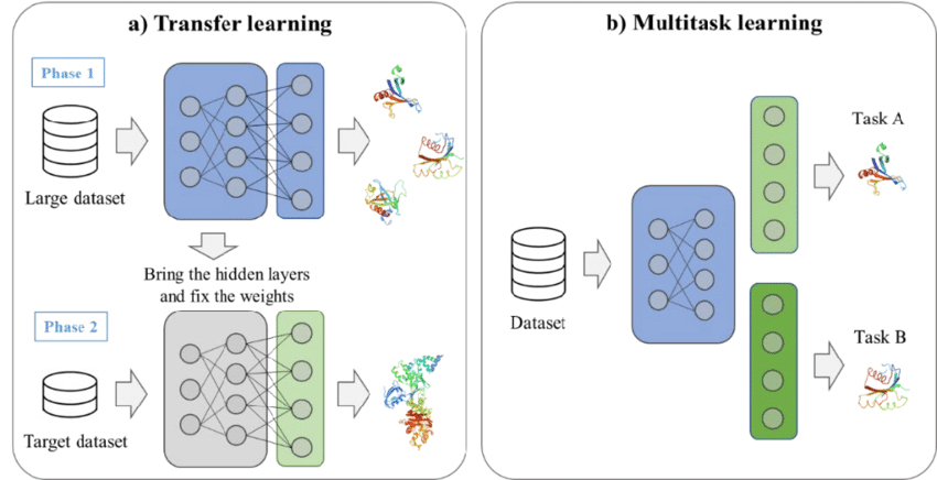 A diagram illustrating an example of transfer learning and multitask learning.