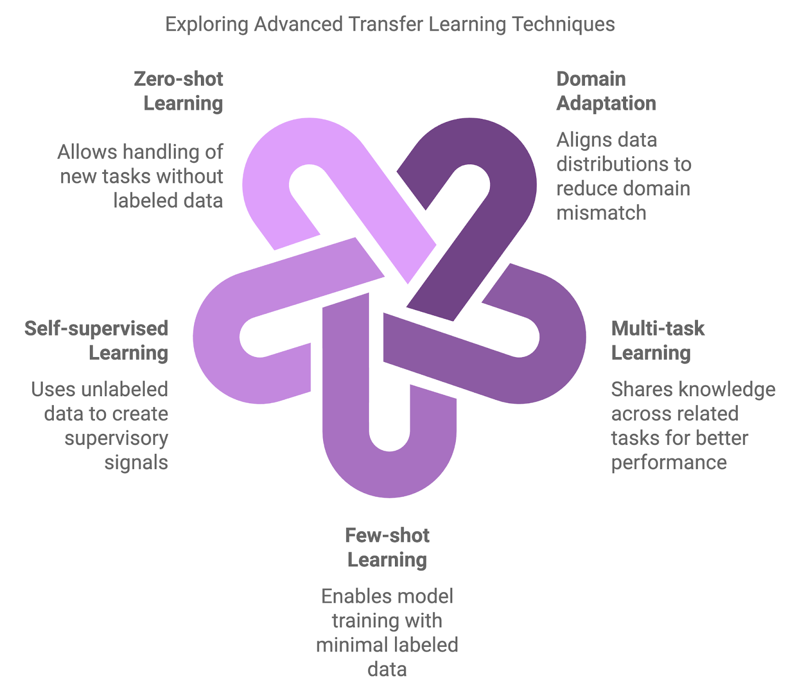 advanced transfer learning techniques