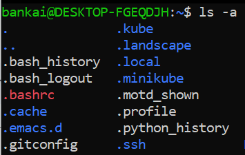 imagem mostrando a lista de dotfiles no diretório inicial