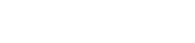 Fitch Group